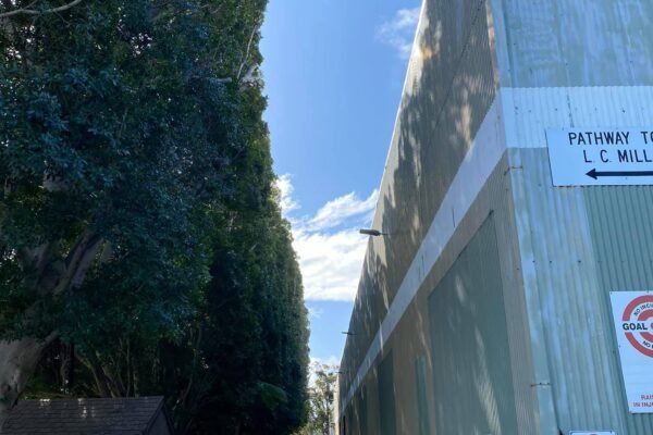urbantree59